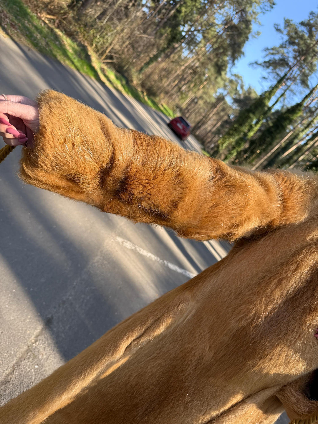 Hooded Golden Beaver Fur Coat in Medium Size, Full-Length Vintage Fur Coat, Soft and Thick Fur, Perfect Golden Lining, Luxurious and Warm