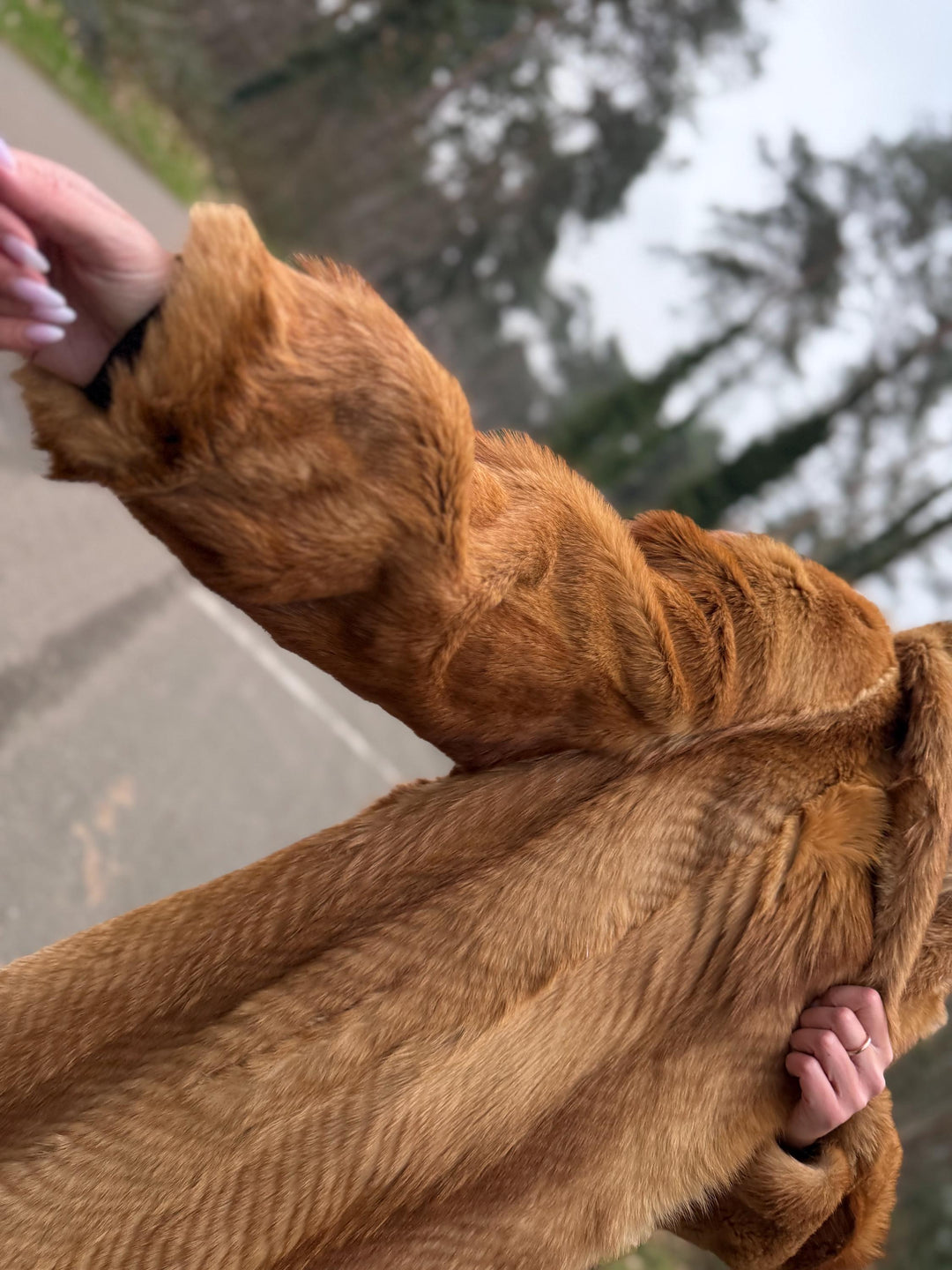Golden Coyote Fur Coat, Large Size, Real Fur with Perfect Design Lining, Vintage Style, Luxurious & Warm Women's Outerwear, Coyote Fur Coat