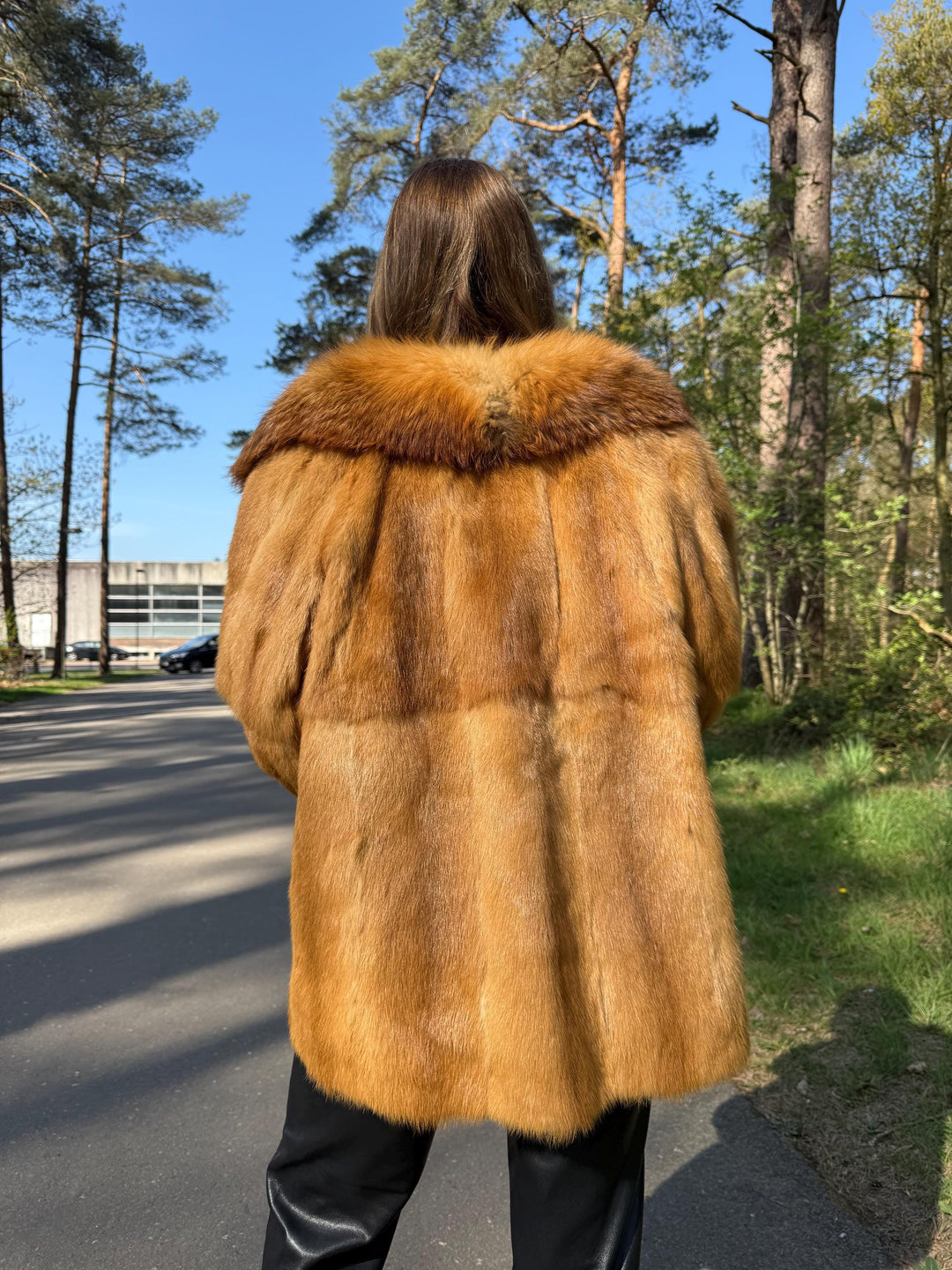 Golden Mink Fur Jacket with Soft Fox Fur Collar, Medium Size, High-Quality Fur, Luxurious and Elegant Women's Outerwear, Genuine Fox & Mink
