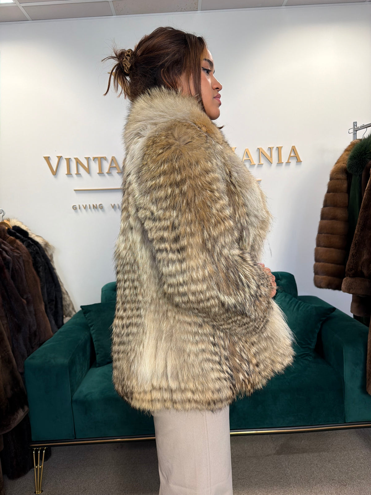 Coyote Fur Jacket, Medium, Trimmed