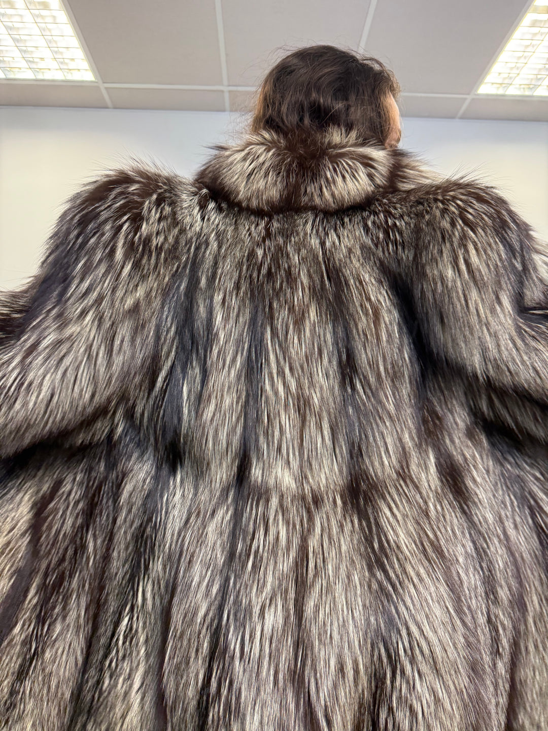 Silver fox luxury fluffy rare design,  XXL Size