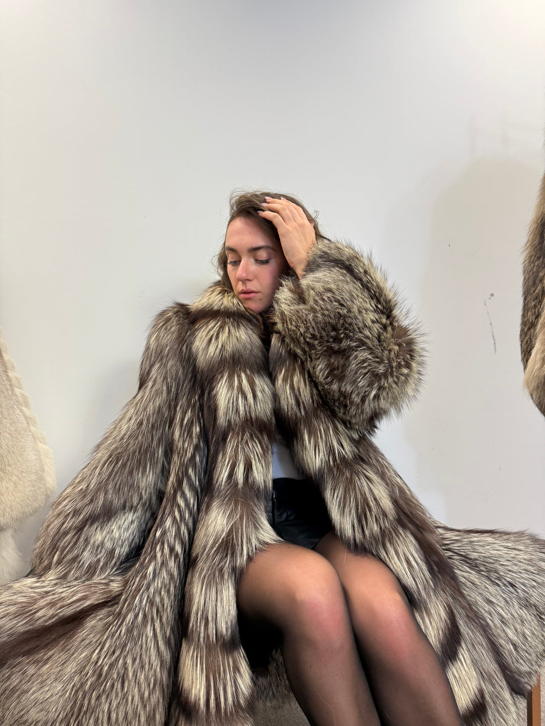 Silver fox luxury fluffy rare design,  XXL Size